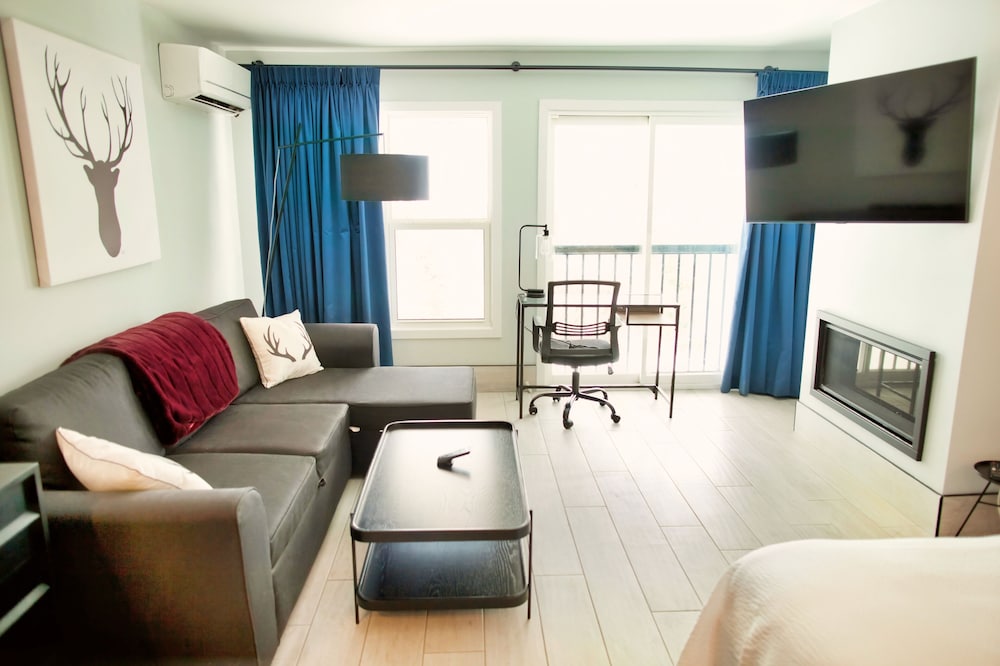 Premium Studio, 1 Queen Bed with Sofa bed, Fireplace, Lake View