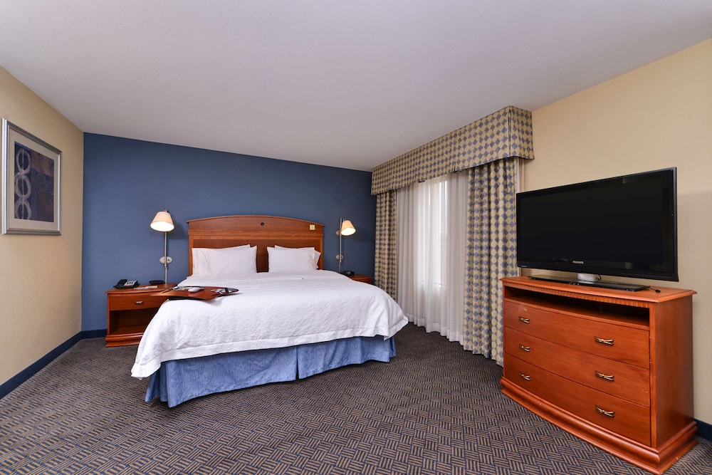 Studio, 1 King Bed, Accessible, Non Smoking photo 1