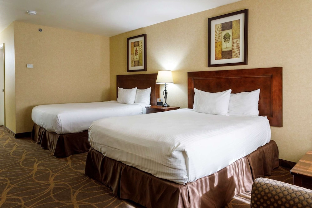 Room, 2 Queen Beds (Pet Friendly) photo 1