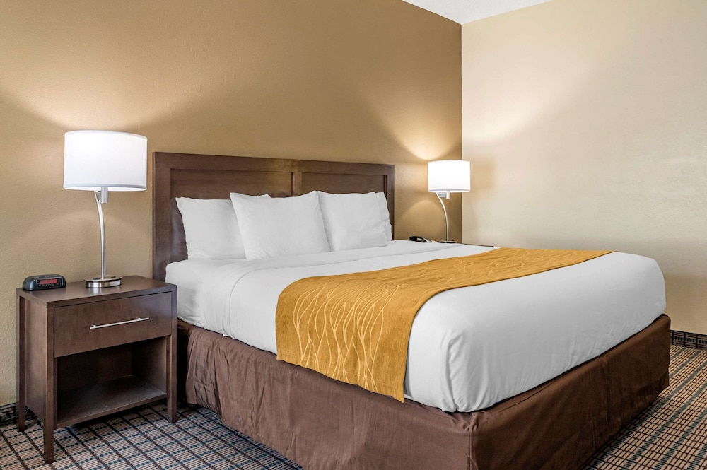 Room, 1 King Bed, Non Smoking - Photo 1
