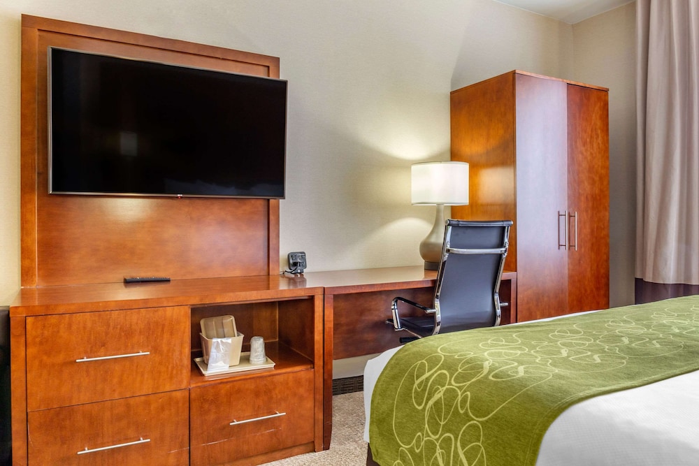 Suite, 1 King Bed, Non Smoking - Photo 3