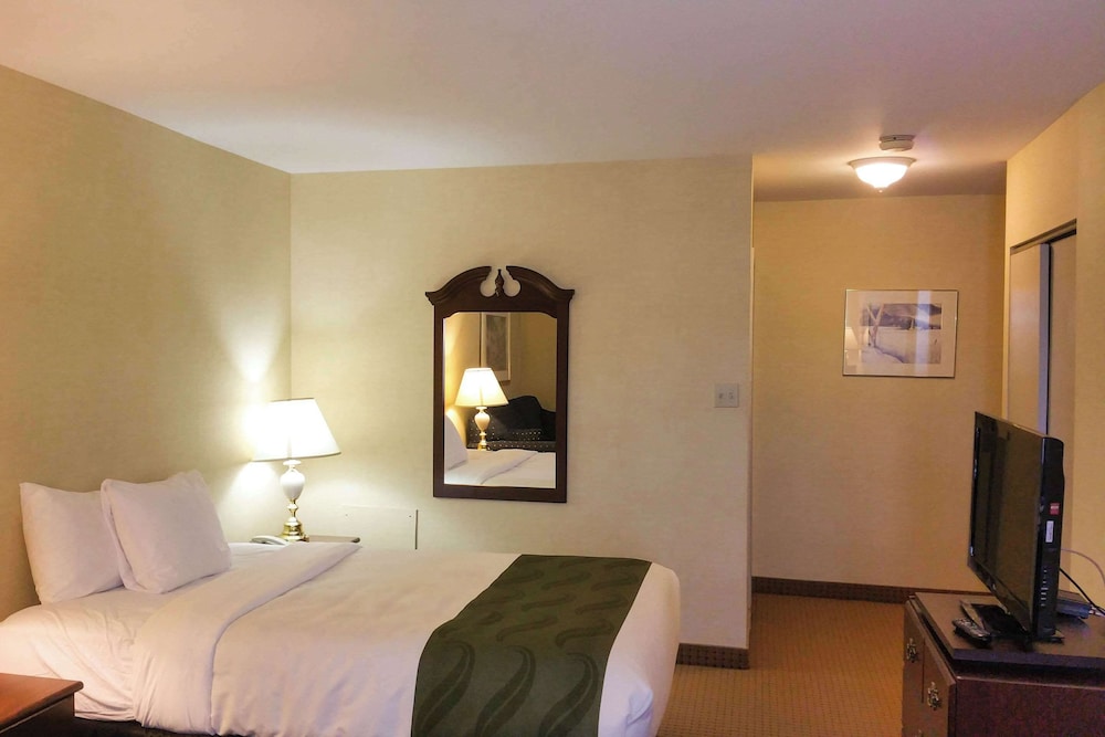 Room, 1 Queen Bed - Photo 1