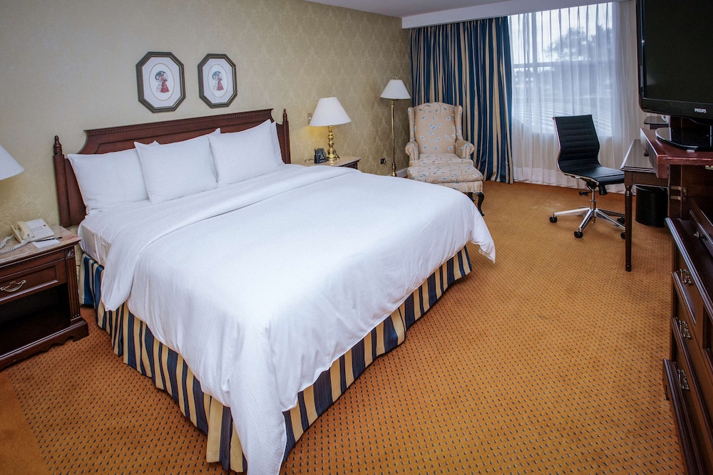 Room, 1 King Bed, Accessible - Photo 1