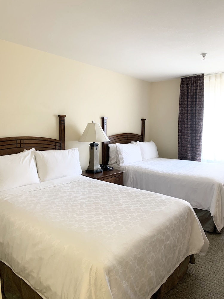 Suite, 1 Bedroom, Kitchen (2 Dbl Beds) - Photo 2