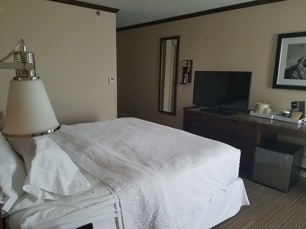 Room, 1 King Bed (Mobility/Hearing Access, Roll-in Shwr) - Photo 2