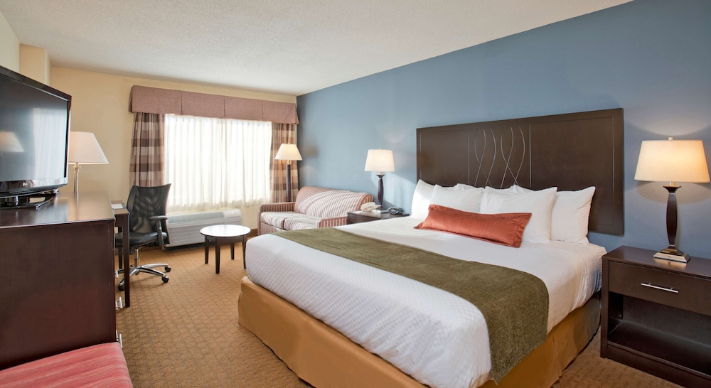 Standard Room, 1 King Bed, Accessible, Non Smoking - Photo 4