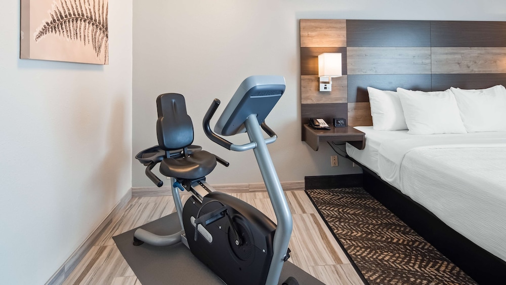 Standard Room, 1 King Bed, Non Smoking, Refrigerator & Microwave (Walk-in Shower) photo 3