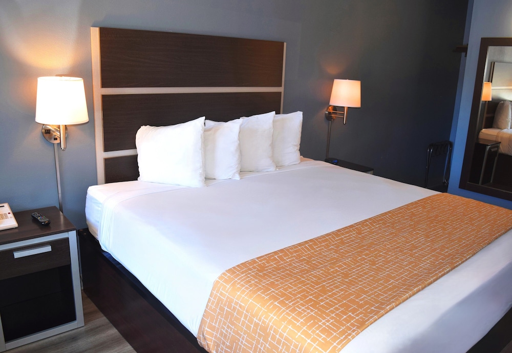 Superior Single Room photo 1
