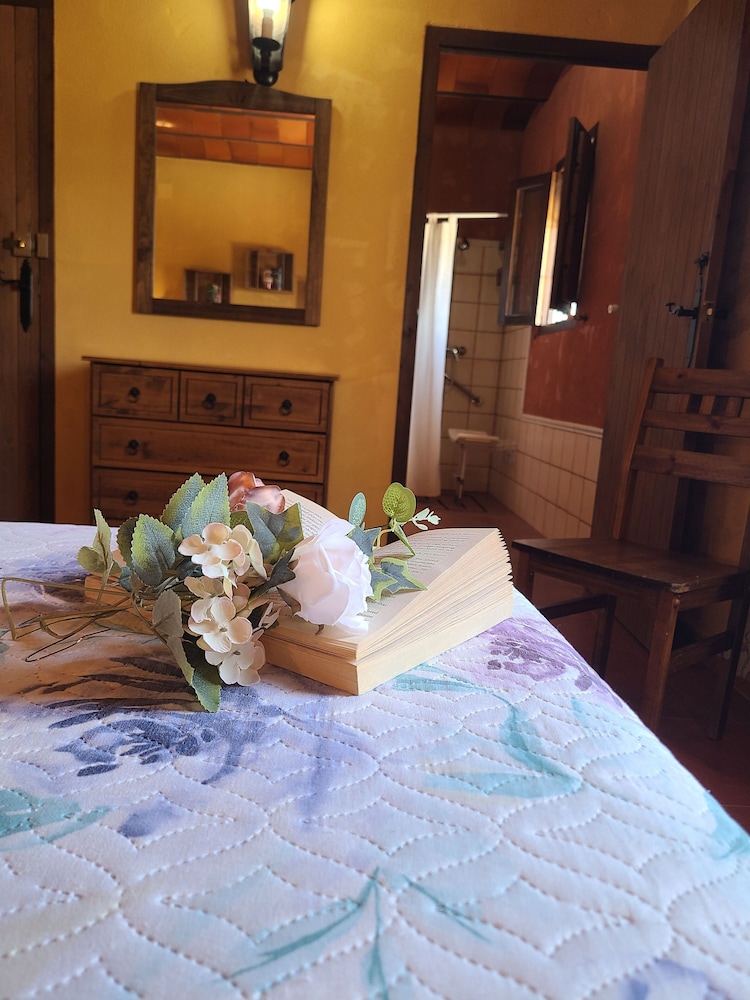 Casa Vacanze Calda con Piscina Privata nel Centro dell'Andalusia, Foto 55