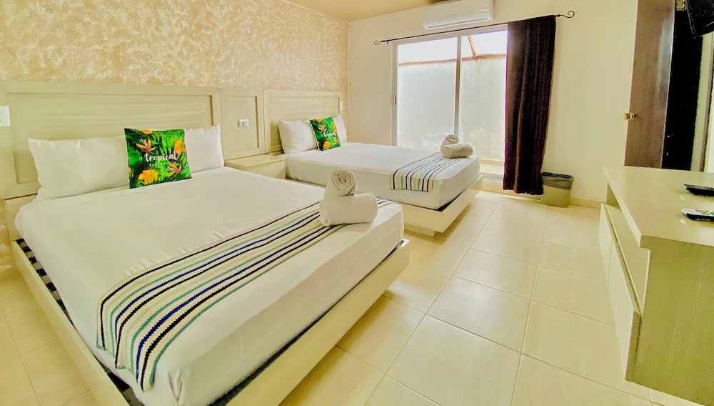 Basic Room (101) photo 3