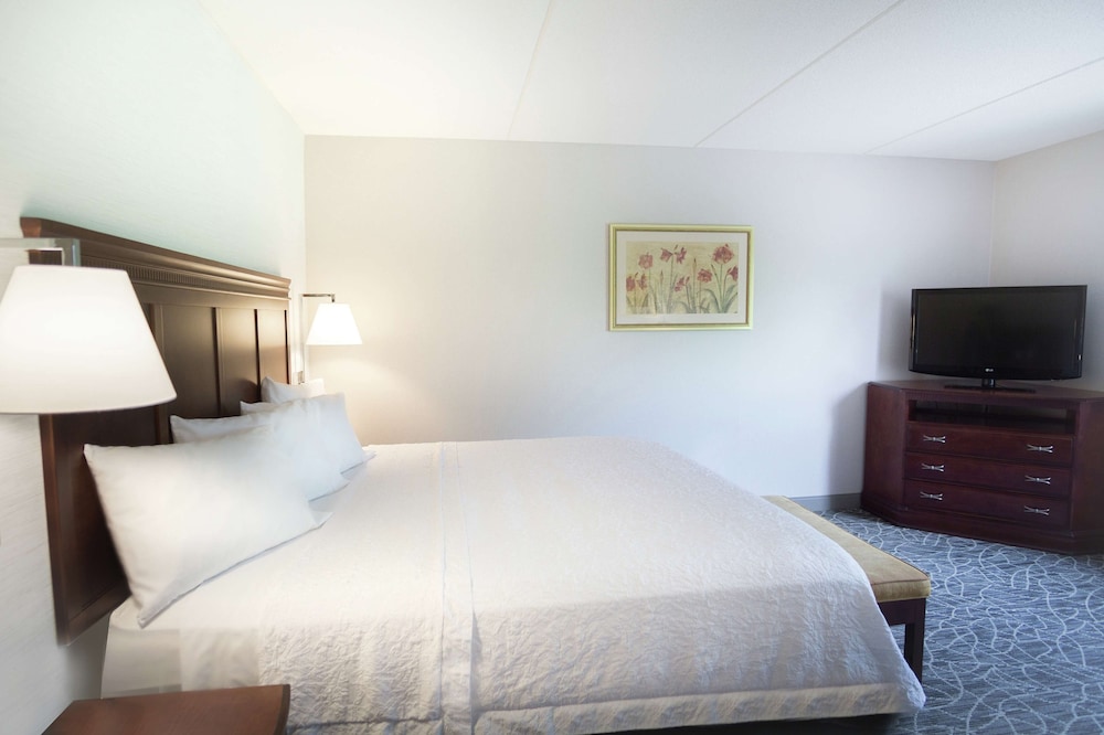 Room, 1 King Bed, Accessible - Photo 1