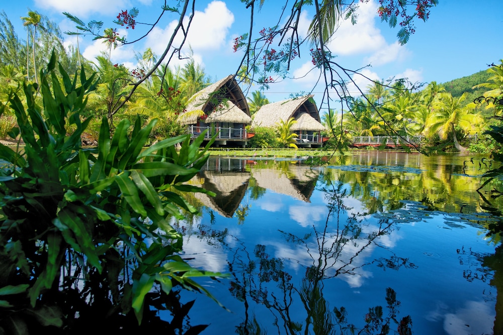 Premium Garden Pool Bungalow - Photo 6