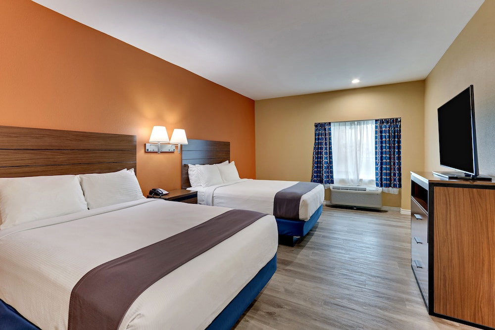 Suite - Photo 2