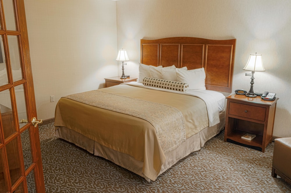 Suite, 1 King Bed, Non Smoking, Kitchenette (Walk-in Shower;with Sofabed) - Photo 2