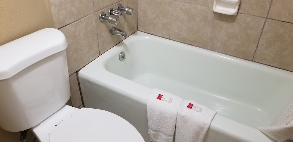 Studio Suite, Multiple Beds, Non Smoking - Photo 8