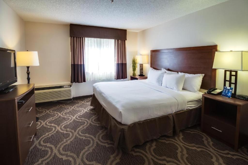 Queen Room photo 2
