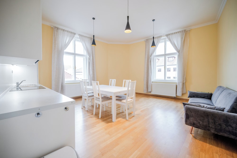 Apartment - Drazickeho namesti Annex