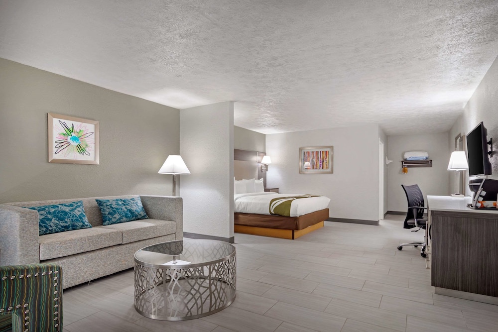 Suite, 1 King Bed With Sofa Bed, Accessible, Non Smoking photo 3