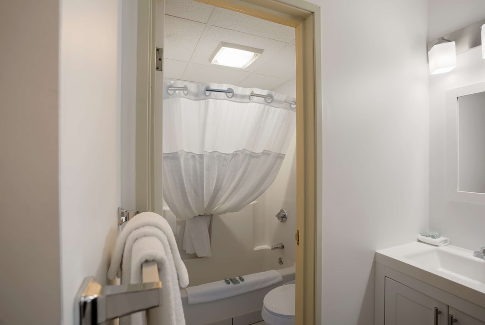 Standard Room, 1 Queen Bed, Non Smoking, Refrigerator & Microwave (Pet Friendly) - Photo 4
