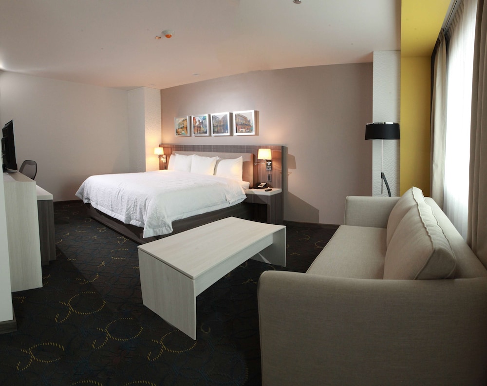 Room, 1 King Bed, Non Smoking photo 3