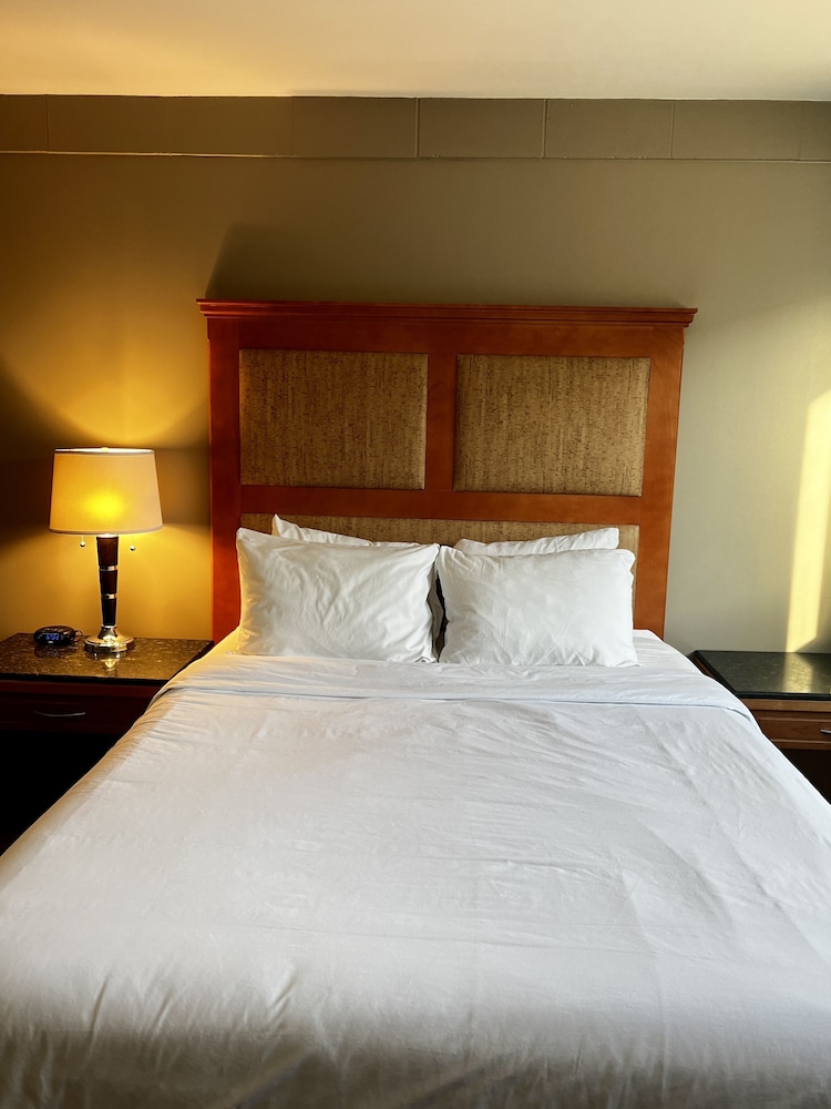 Deluxe Single Room, 1 Queen Bed photo 2