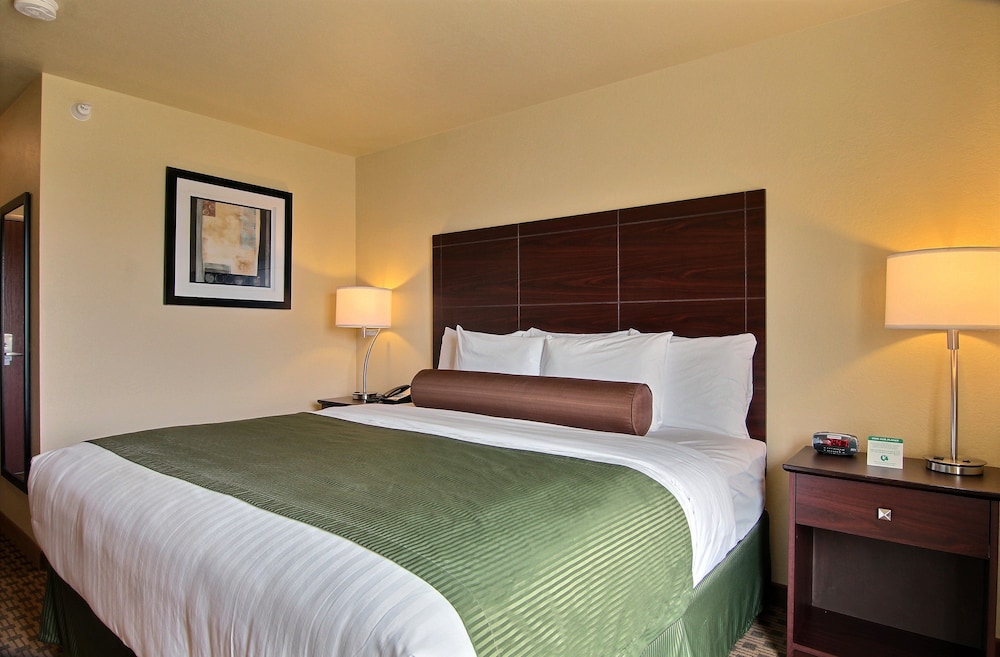 Room, 1 King Bed, Non Smoking photo 3