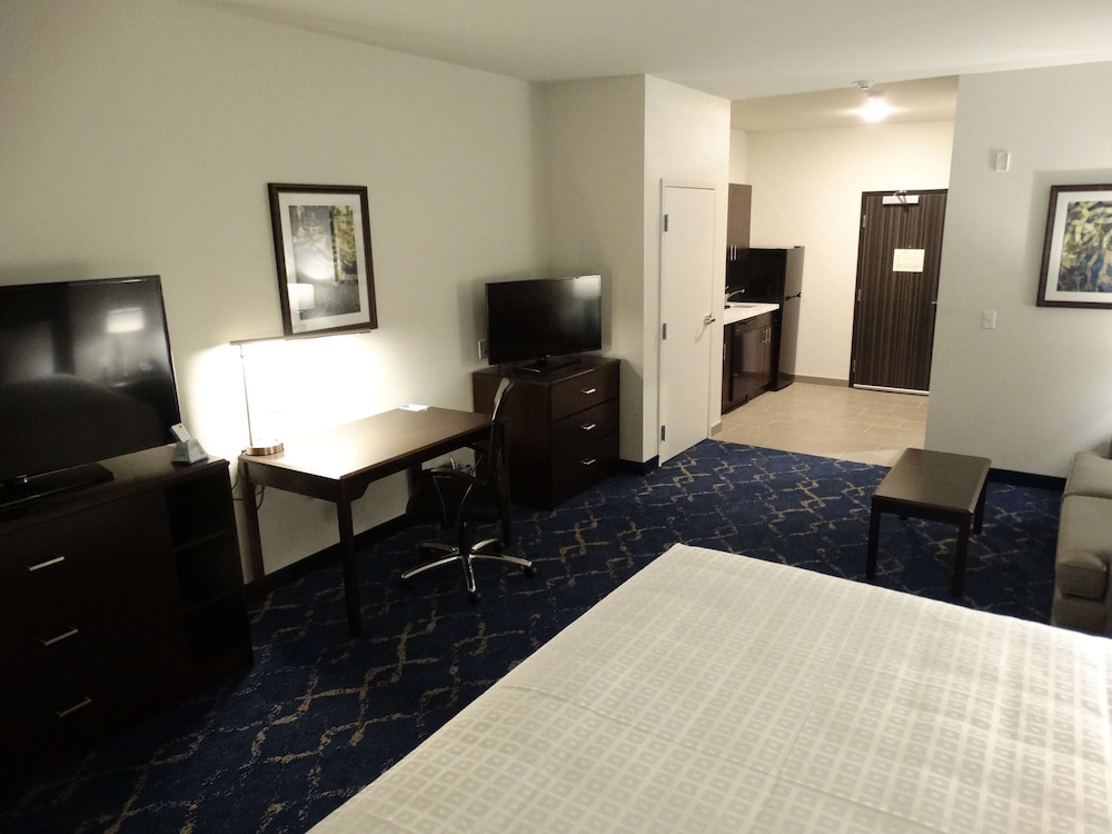 Suite, 1 King Bed, Accessible, Non Smoking (Walk-in Shower;with Sofabed)