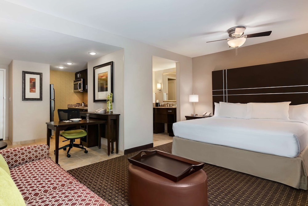 Studio Suite, 1 King Bed photo 2