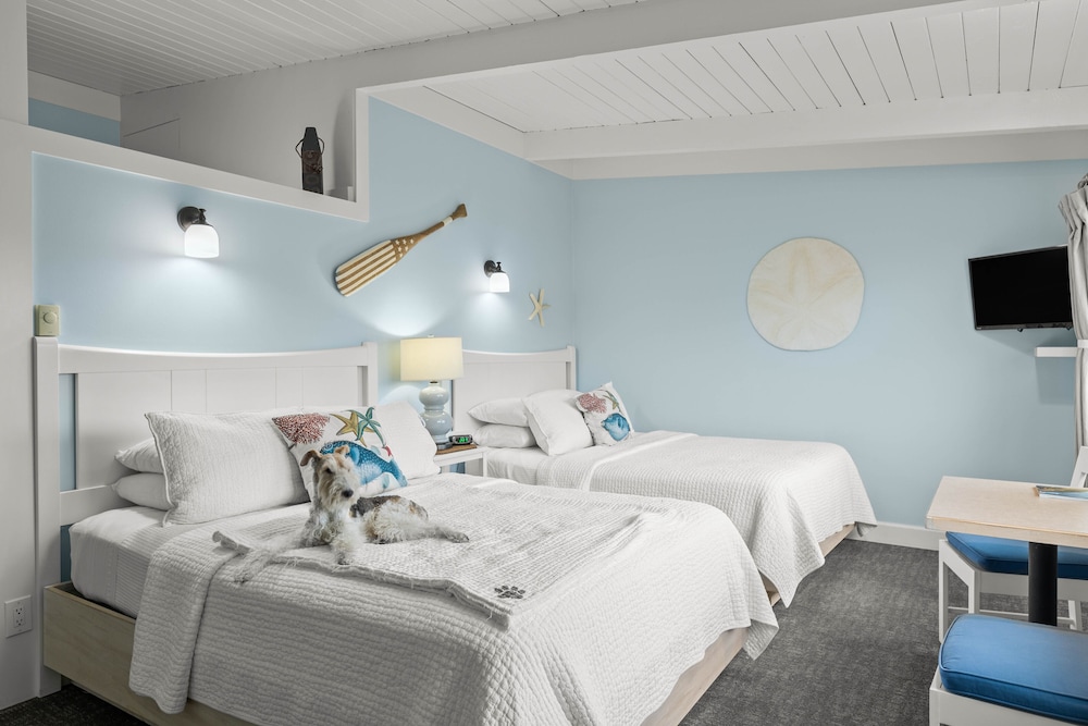 Standard Room, 2 Queen Beds (Dog Friendly)