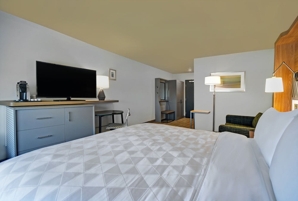 Standard Room, 1 King Bed, Accessible (Communication, Accessible Tub) - Photo 1