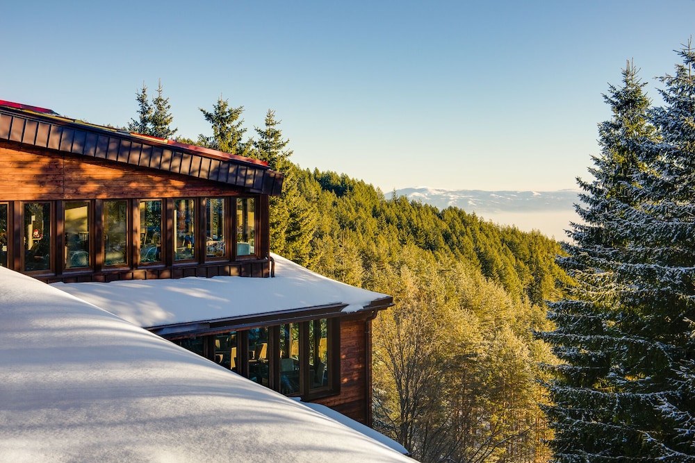 Panoramic Double Room, Balcony, Forest View photo 2