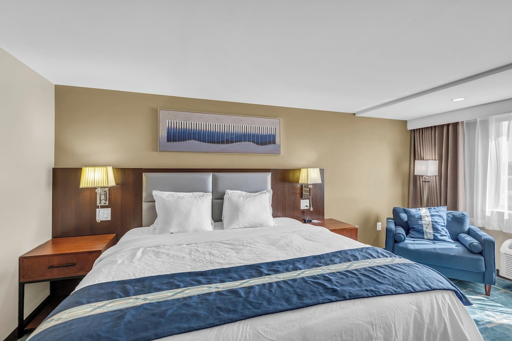 Comfort Single Room, 1 King Bed photo 1