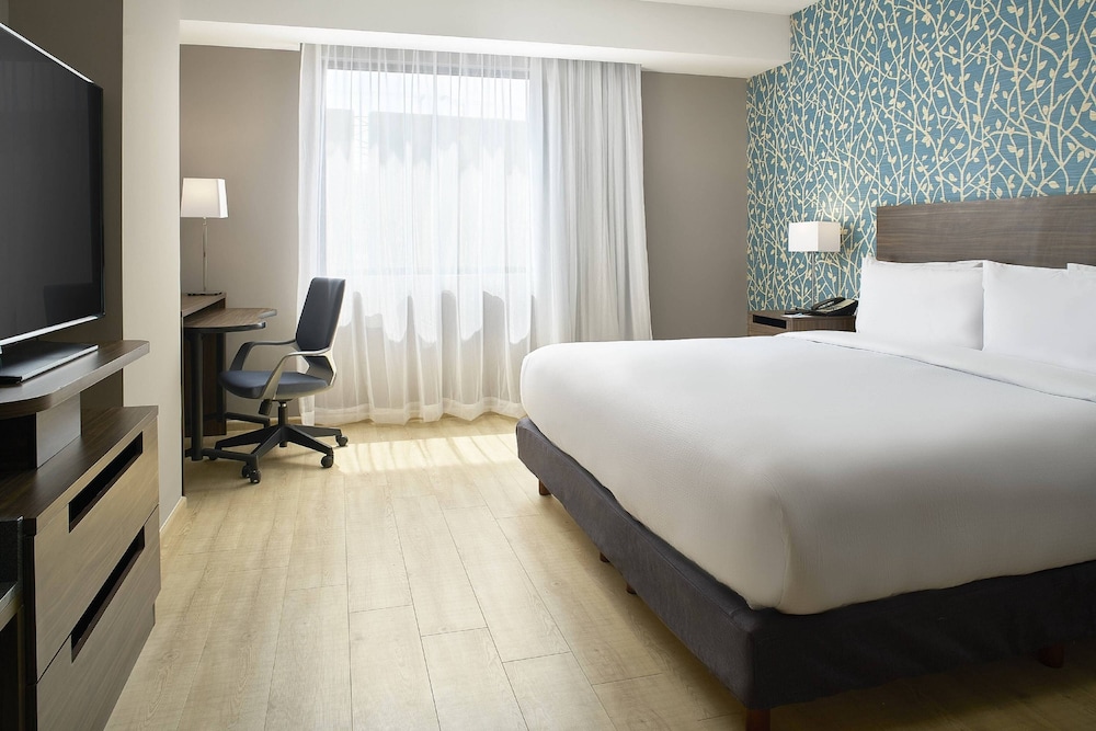 Suite, 1 King Bed photo 2