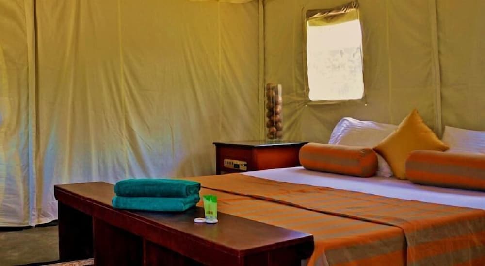 Double Deluxe Lodge photo 1
