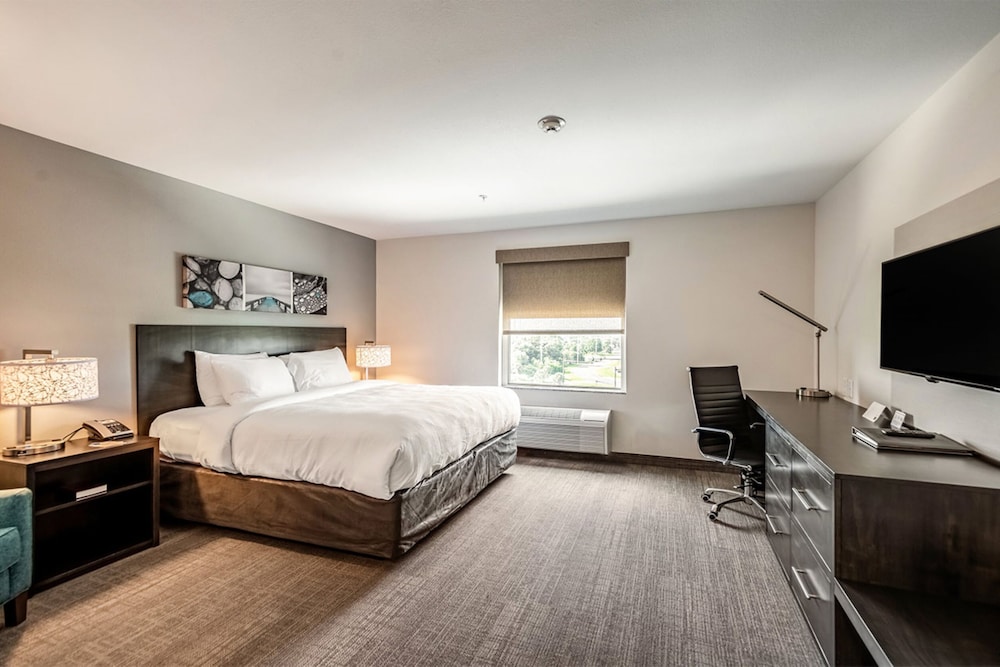 Standard Room, 1 King Bed, Accessible, Refrigerator & Microwave photo 2