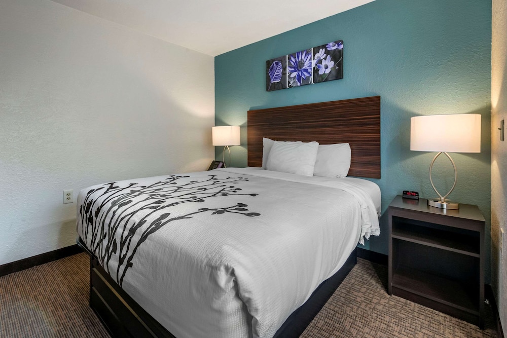 Room, 1 King Bed, Accessible, Non Smoking - Photo 3
