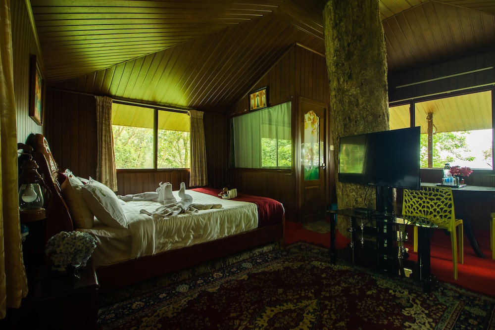 Tree House photo 2