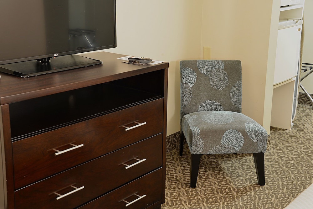 Business Room, 1 King Bed, Refrigerator & Microwave