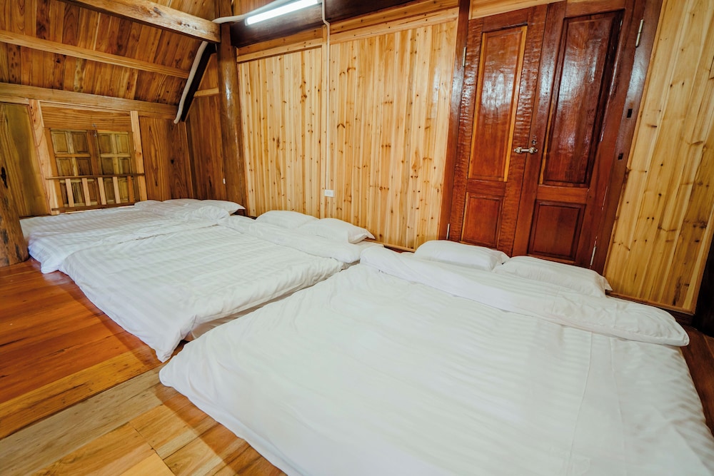 Standard Shared Dormitory photo 3