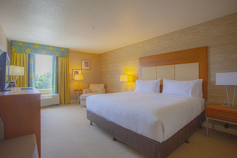 Standard Room, 1 Queen Bed, Accessible (Communications) - Photo 4