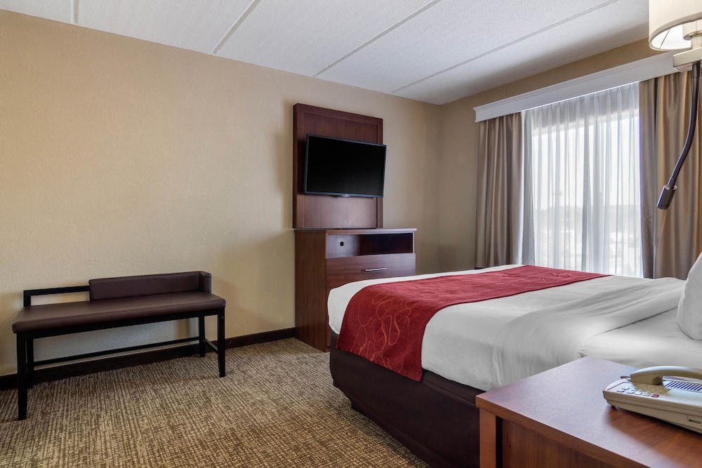 Suite, 1 King Bed with Sofa bed, Non Smoking (with Wetbar) - Photo 2