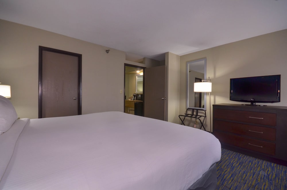Suite, 1 Bedroom