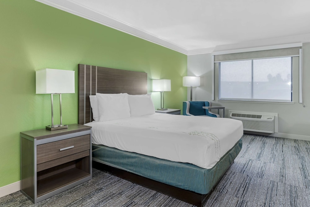Standard Room, 1 King Bed, Accessible, Non Smoking photo 2