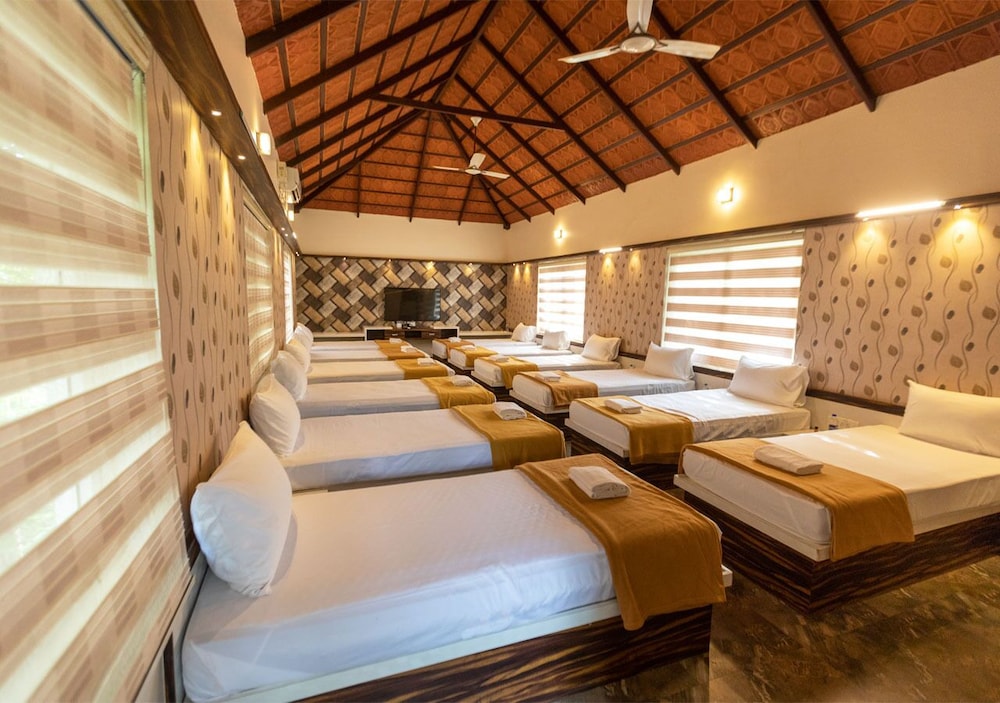 Shared Dormitory, Mixed Dorm (12 Beds)