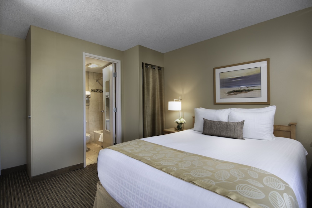 Economy Room, 1 Queen Bed, Non Smoking, Refrigerator & Microwave (Small room) photo 2
