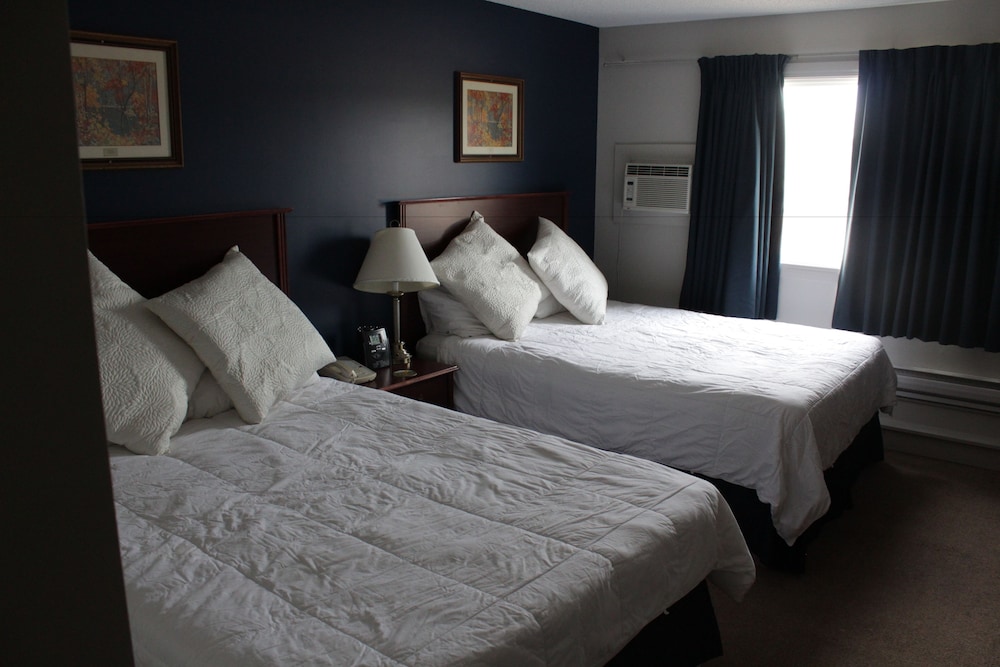 Room, 1 Queen Bed, Refrigerator & Microwave photo 1