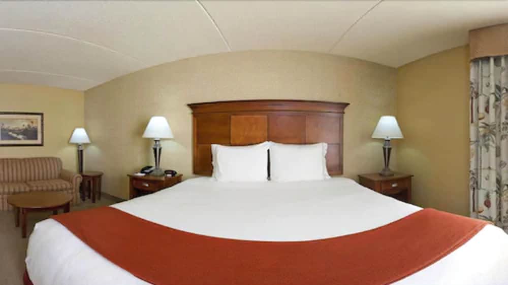 Suite, 1 King Bed, Accessible, Non Smoking - Photo 2