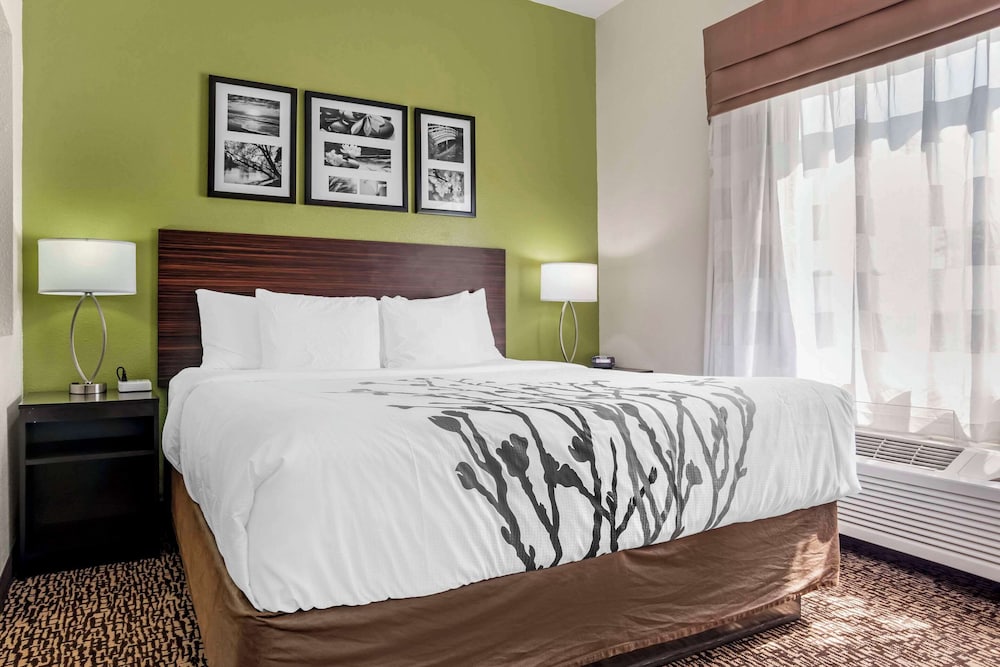 Suite, 1 King Bed - Photo 3