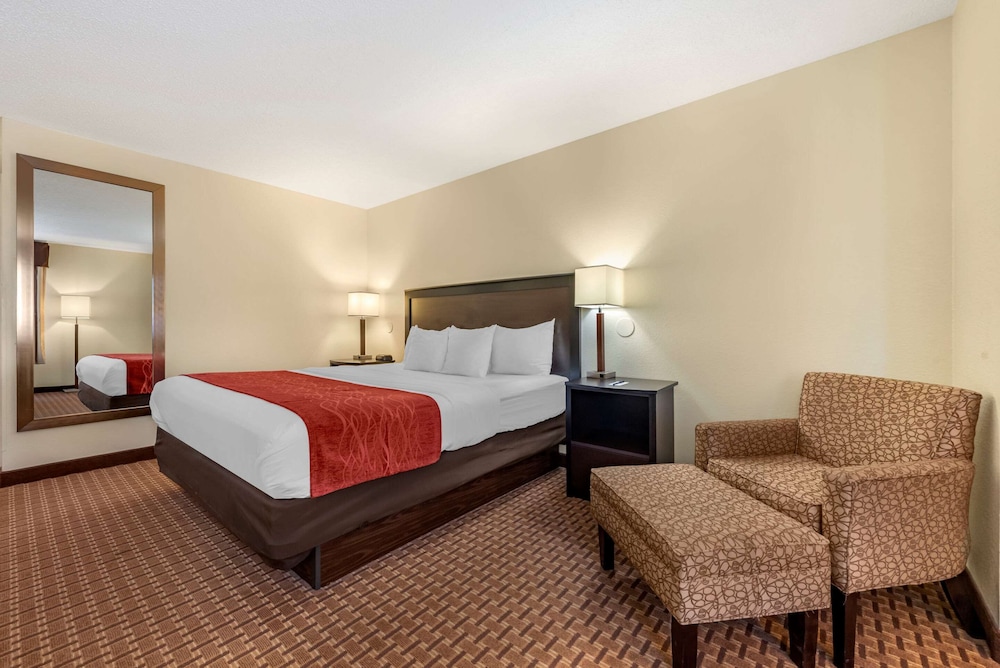 Standard Room, 1 King Bed, Non Smoking - Photo 1