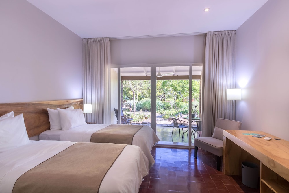 Deluxe Twin Room photo 1